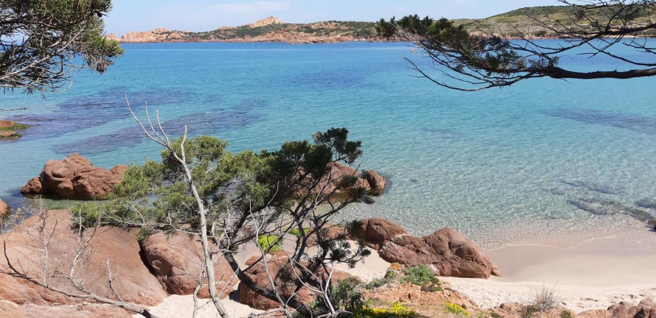 mare natura confort... il mio paradiso in Sardegna Isola Rossa Esterno foto