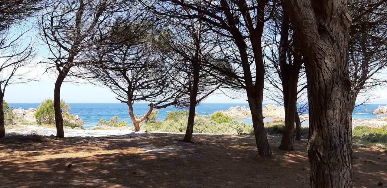 mare natura confort... il mio paradiso in Sardegna Isola Rossa Esterno foto